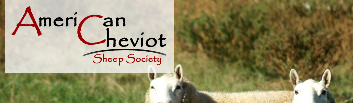 American Cheviot Sheep Soceity